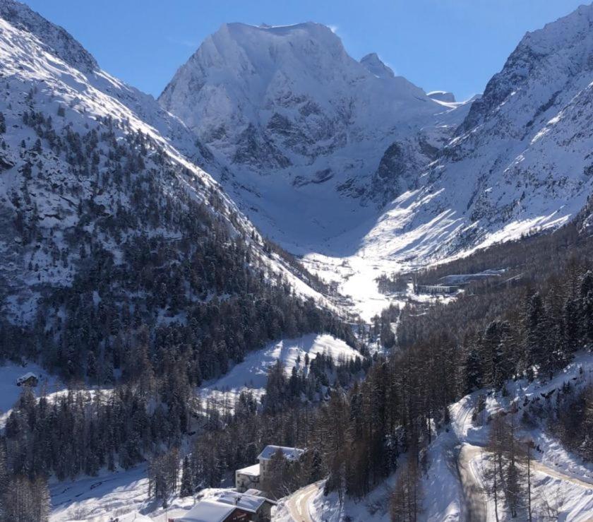 Le Panorama - Appartement 54 A Arolla Face Aux Montagnes A 150M Des Pistes Evolène Exterior foto