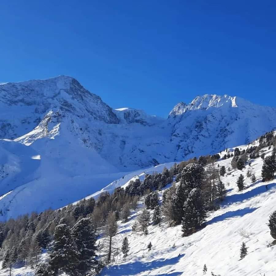 Le Panorama - Appartement 54 A Arolla Face Aux Montagnes A 150M Des Pistes Evolène Exterior foto